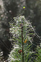 BUITEN BEELD Foto: 253434