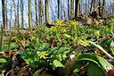 BUITEN BEELD Foto: 253502