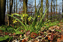 BUITEN BEELD Foto: 253519