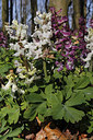 BUITEN BEELD Foto: 253521