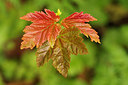 BUITEN BEELD Foto: 253560
