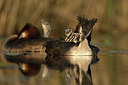 BUITEN BEELD Foto: 253584