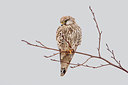 BUITEN BEELD Foto: 253609