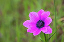 BUITEN BEELD Foto: 253667