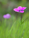 BUITEN BEELD Foto: 253669