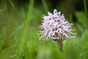 BUITEN BEELD Foto: 253673