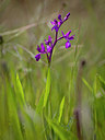 BUITEN BEELD Foto: 253674