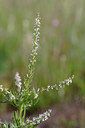 BUITEN BEELD Foto: 253683