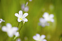 BUITEN BEELD Foto: 253684
