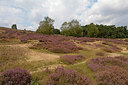 BUITEN BEELD Foto: 253782