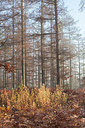 BUITEN BEELD Foto: 253901