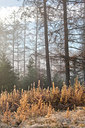 BUITEN BEELD Foto: 253903