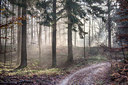 BUITEN BEELD Foto: 253906