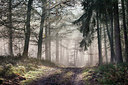 BUITEN BEELD Foto: 253907