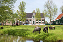 BUITEN BEELD Foto: 254055