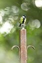 BUITEN BEELD Foto: 254086