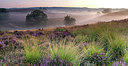 BUITEN BEELD Foto: 254090