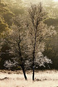 BUITEN BEELD Foto: 254095