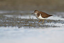 BUITEN BEELD Foto: 254201