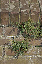 BUITEN BEELD Foto: 254243