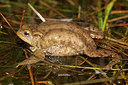 BUITEN BEELD Foto: 254258