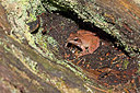 BUITEN BEELD Foto: 254269