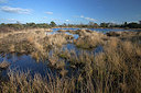 BUITEN BEELD Foto: 254300