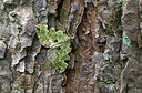 BUITEN BEELD Foto: 254315