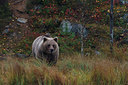 BUITEN BEELD Foto: 254390