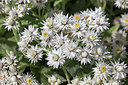BUITEN BEELD Foto: 254393