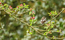 BUITEN BEELD Foto: 254395