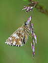 BUITEN BEELD Foto: 254410