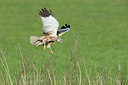 BUITEN BEELD Foto: 254552