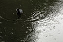BUITEN BEELD Foto: 254637