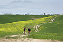 BUITEN BEELD Foto: 254713