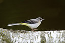 BUITEN BEELD Foto: 254791