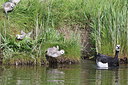 BUITEN BEELD Foto: 254831
