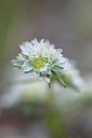 BUITEN BEELD Foto: 254939