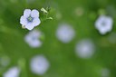BUITEN BEELD Foto: 254991