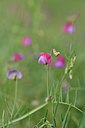 BUITEN BEELD Foto: 255051