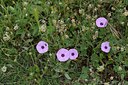 BUITEN BEELD Foto: 255068