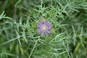 BUITEN BEELD Foto: 255151