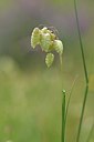 BUITEN BEELD Foto: 255174