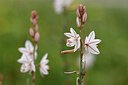 BUITEN BEELD Foto: 255190