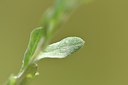 BUITEN BEELD Foto: 255206