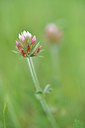 BUITEN BEELD Foto: 255231