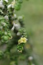BUITEN BEELD Foto: 255285