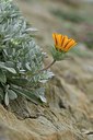 BUITEN BEELD Foto: 255292