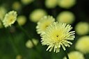 BUITEN BEELD Foto: 255316
