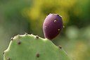 BUITEN BEELD Foto: 255328